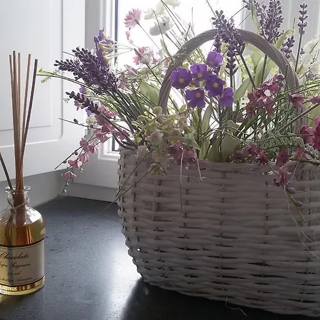 招待所 Casa Costanza 3*