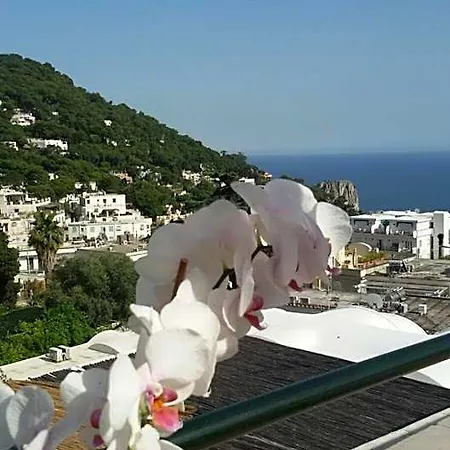 Casa Costanza بيت ضيافة