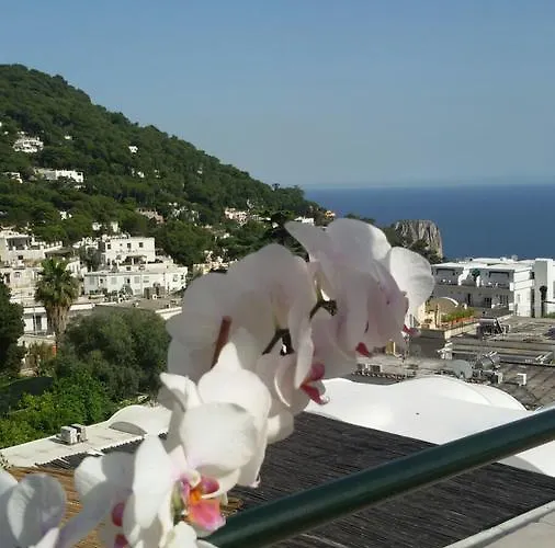 Pensión Casa Costanza Capri